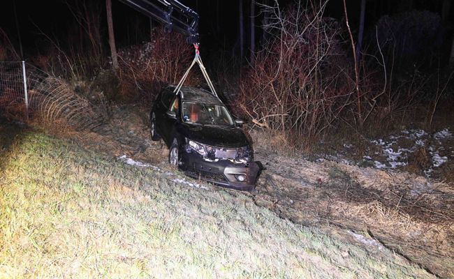 Nach Auffahrkollision den Wildschutzzaun durchbrochen
