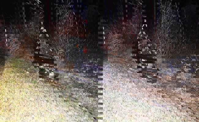 Nach Auffahrkollision den Wildschutzzaun durchbrochen