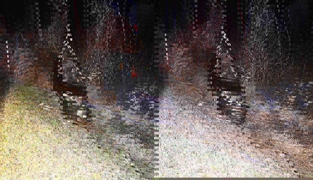 Nach der Auffahrkollision kam das Auto der 38-jährigen Fahrerin erst hinter dem Wildschutzzaun in einem angrenzenden Wald zum Stillstand. Kapo