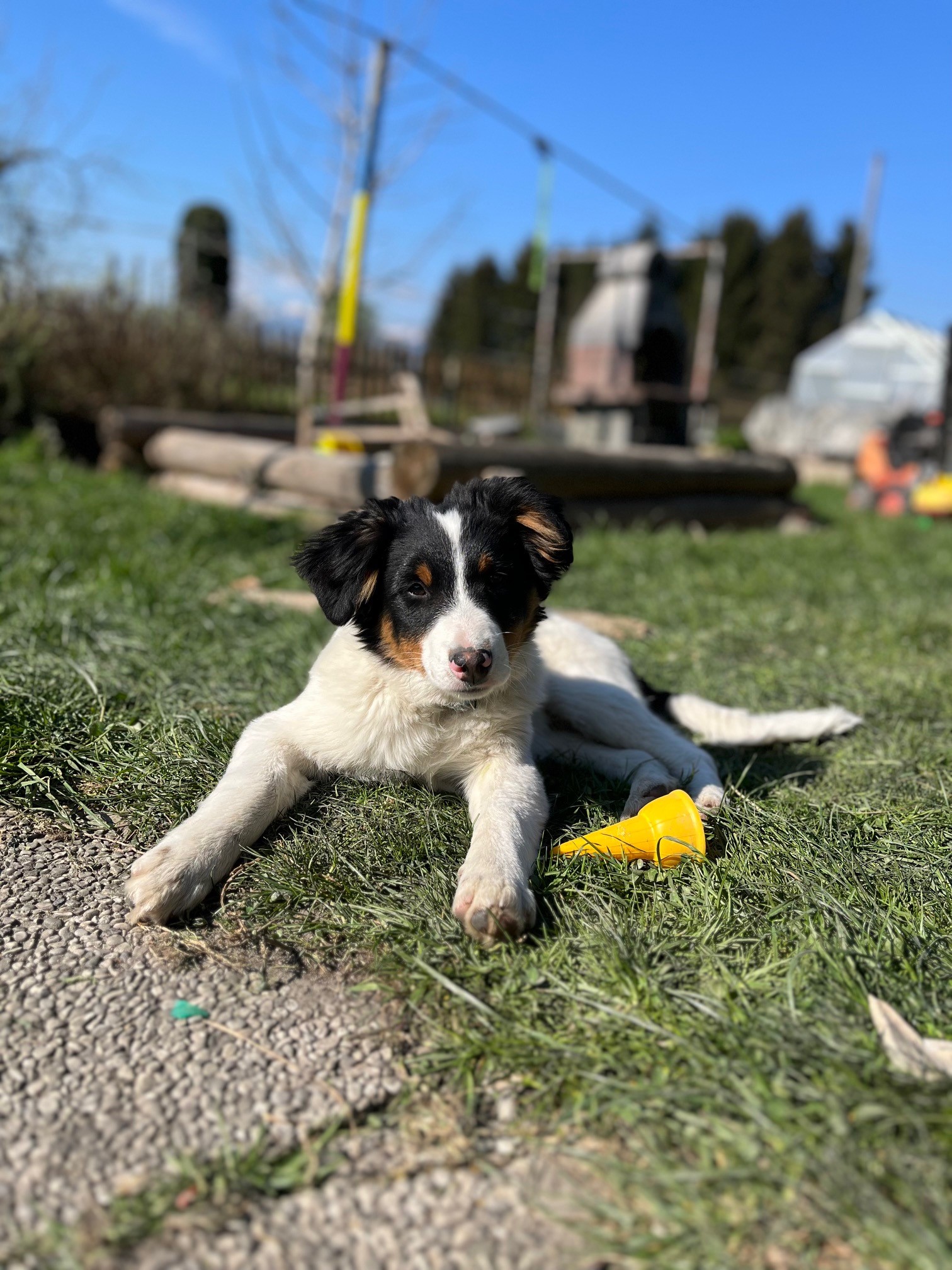 Kinderkram: «Plötzlich und unerwartet auf den Hund gekommen»