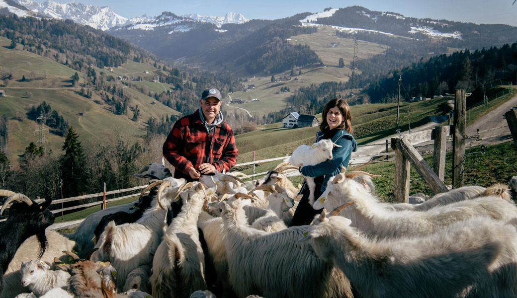 Johannes und Ann-Kathrin Sutter halten auf ihrem Hof in Hemberg über 100 Kaschmirziegen.
