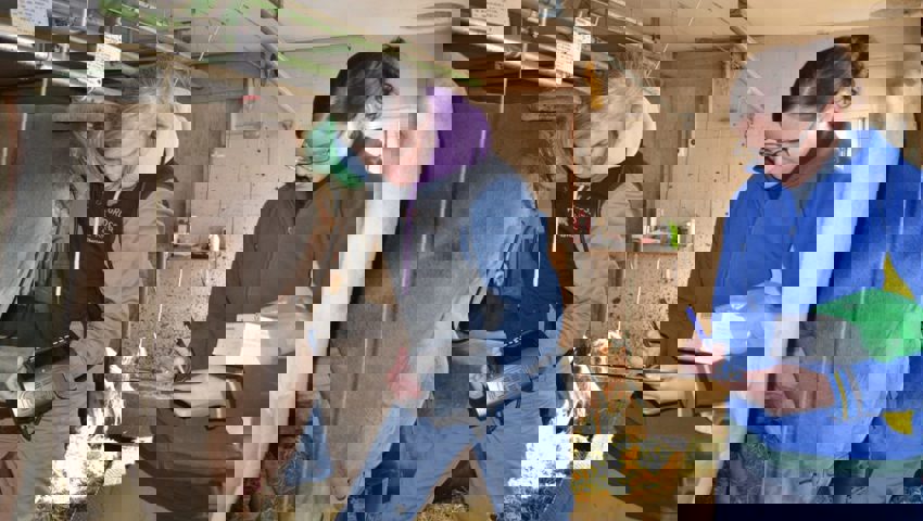  Mirjam Scherrer untersucht mittels Ultraschall die Trächtigkeit, Flavia Tischhauser notiert die Ergebnisse.