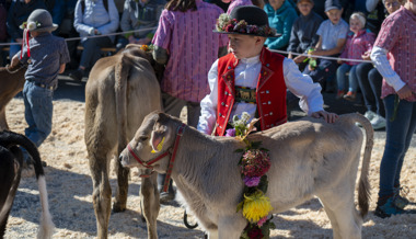 Viehschau Wartau: Schon die Kleinsten üben sich als Züchter