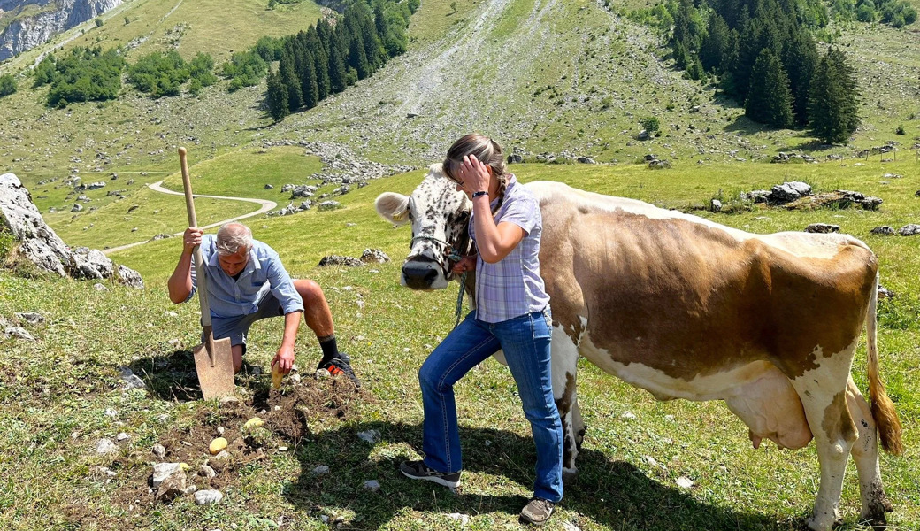 Kartoffel-Protest auf der Schwägalp