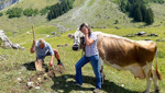 Kartoffel-Protest auf der Schwägalp