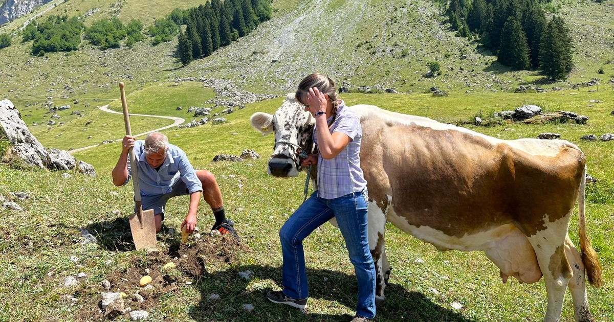 Potato protest on the Schwägalp
