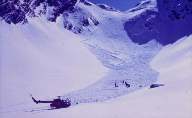 Forschungsanstalt hat 28’000 historische Fotos veröffentlicht
