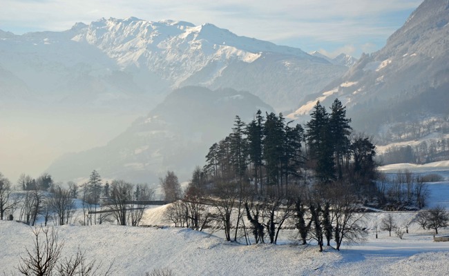 Ruhwälder: Die ewige Ruhe im Schatten mächtiger Bäume