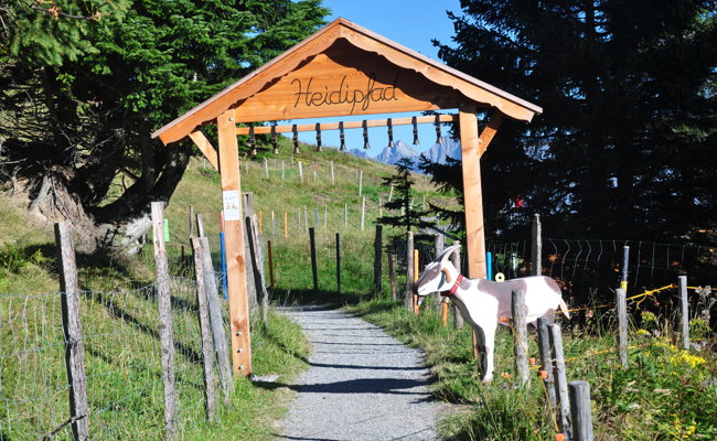 Der Heidipfad auf der Anklagebank: Das geschah am ersten Prozesstag