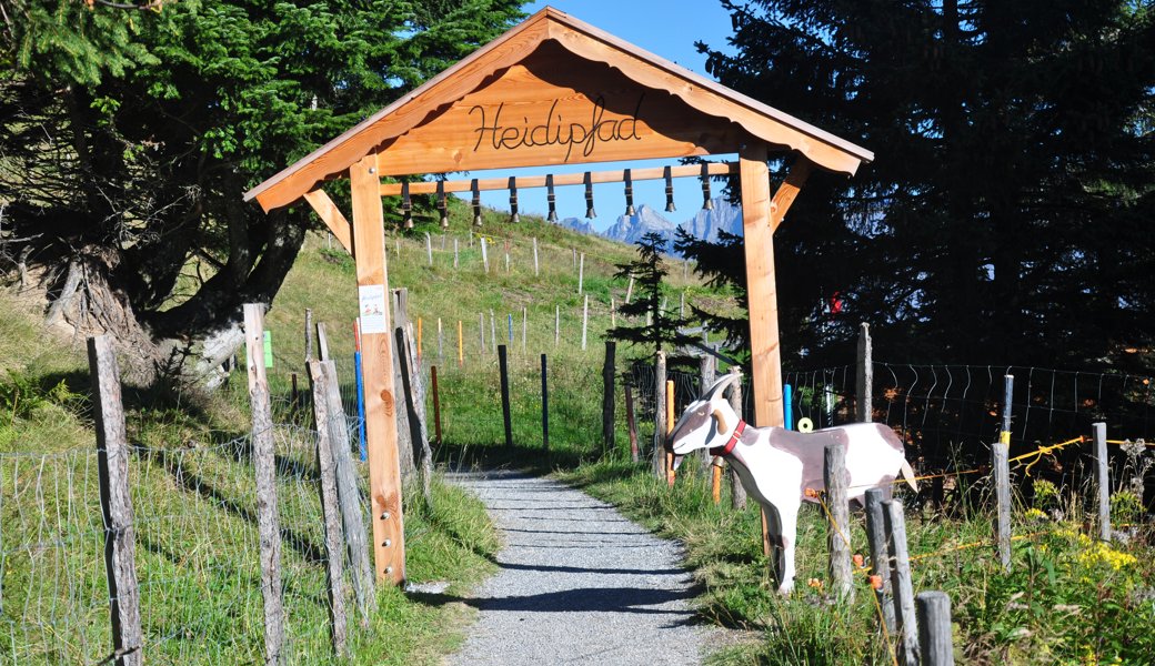 Der Heidipfad auf der Anklagebank: Das geschah am ersten Prozesstag