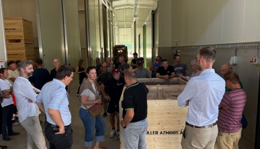 Neue Zwiebelhalle mit 2800 Quadratmeter Platz