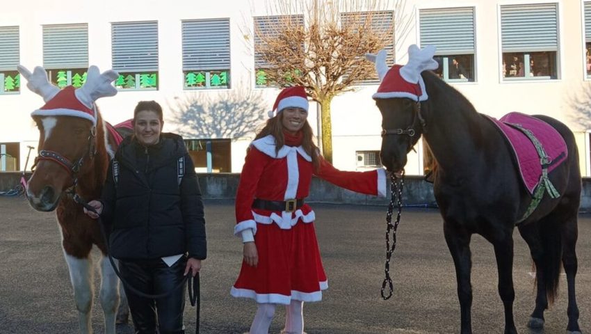  Wenn ein Nikolaus und Esel fehlen kommen eben Nikolina und Pferde.