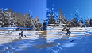 Traumhafte Pisten und traumhafte Zahlen: Bis zu 4000 Gäste täglich in Wildhaus