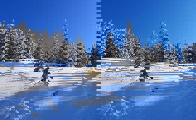 Traumhafte Pisten und traumhafte Zahlen: Bis zu 4000 Gäste täglich in Wildhaus