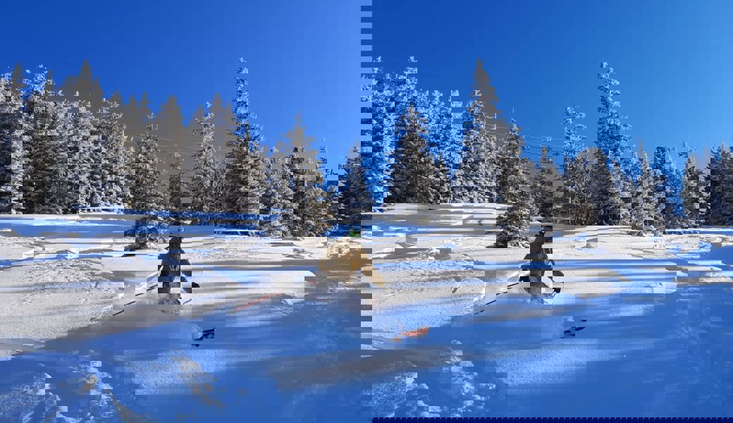 Pistenmässiger Wintertraum: In Wildhaus suchten zahlreiche Wintersporttreibende den Weg in den Schee.