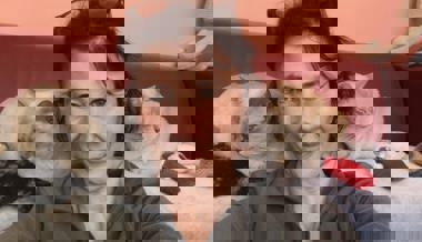 Langerhofftes Wiedersehen: Verirrte Katze Bebi kommt nach sieben Monaten heim