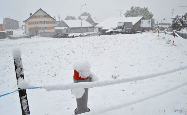 Was für eine Schneepracht: Die Eisheiligen werden ihrem Ruf gerecht