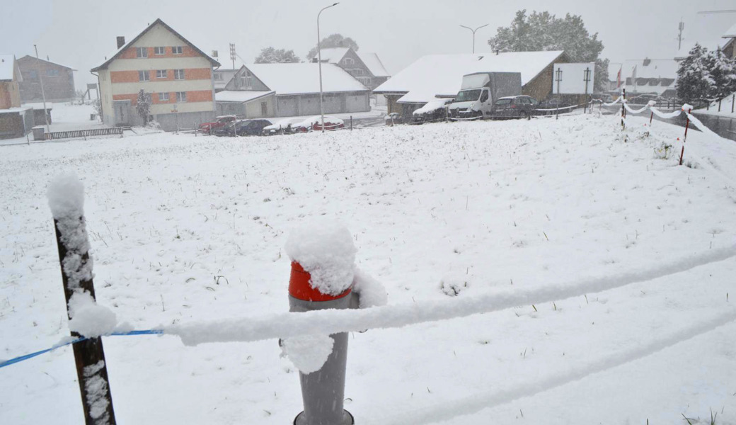 Was für eine Schneepracht: Die Eisheiligen werden ihrem Ruf gerecht