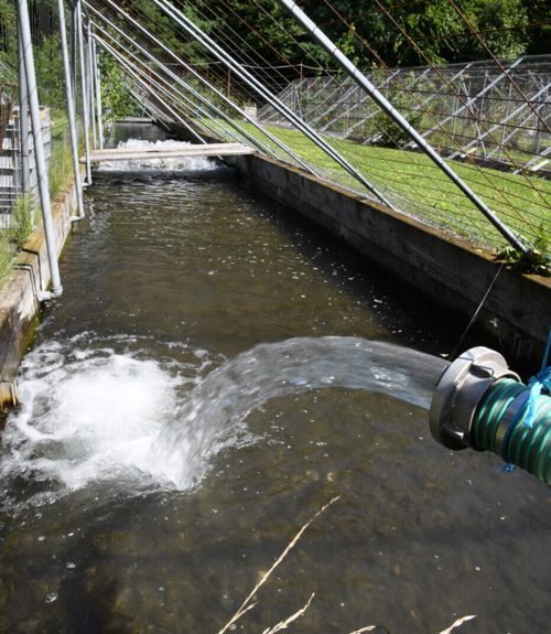 Seit Wochen muss Grundwasser gepumpt und belüftet werden. Seit Wochen muss Grundwasser gepumpt und belüftet werden.