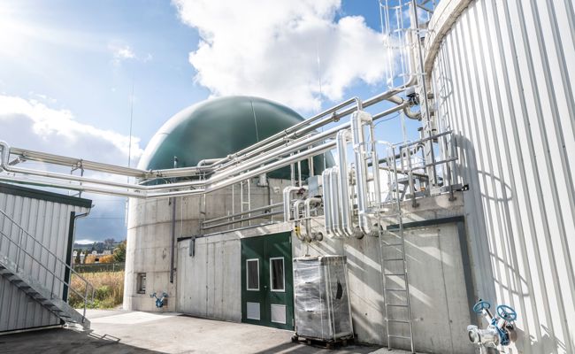 Ein Stück Unabhängigkeit aus der Deponie