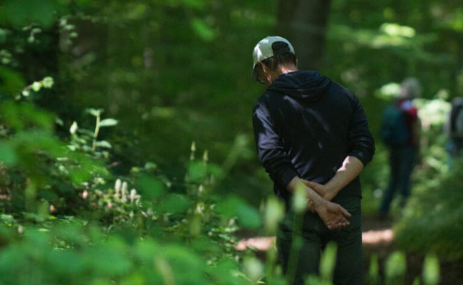 Mit geschärften Sinnen unterwegs: Waldbaden als ein Gegenmittel zu Stress