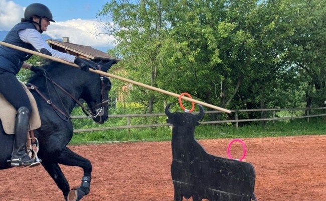 Mit weltmeisterlichem Rat die Reitkenntnisse verbessert