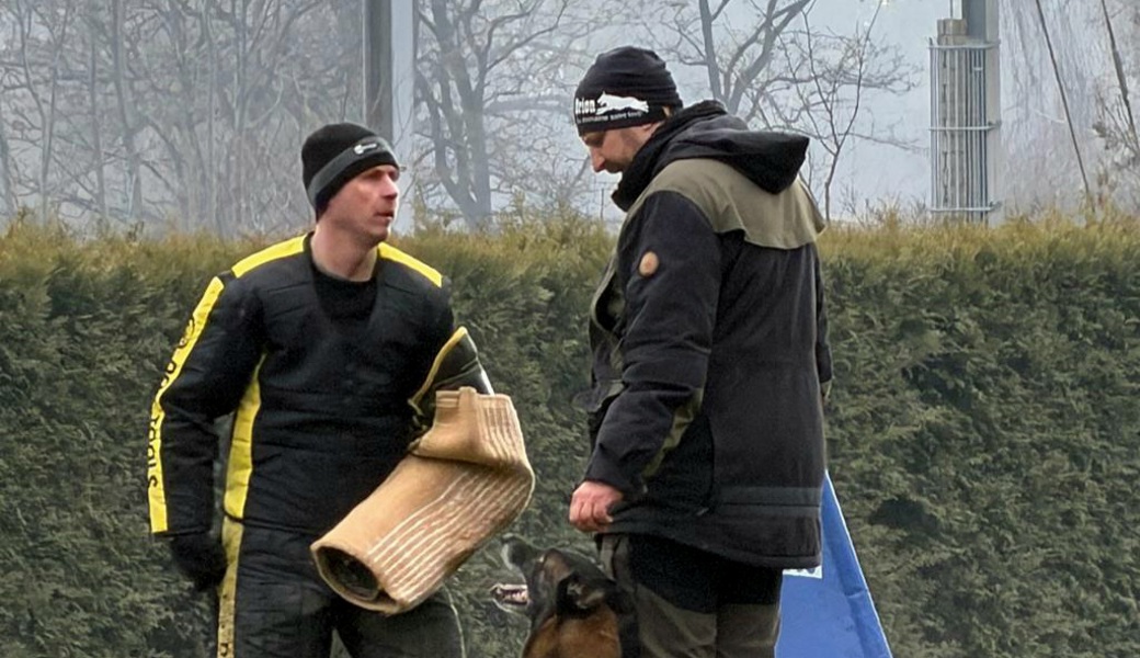 Gute Arbeit geleistet an der Weihnachtsprüfung