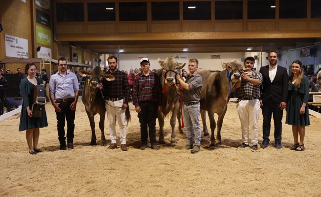 Braunviehzucht auf hohem Niveau – Erfolg für Werdenberger Züchter