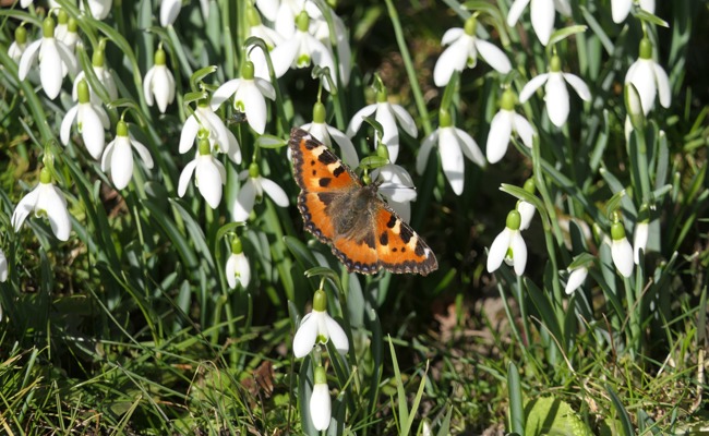 Der wärmste Februar seit Messbeginn und seine Folgen