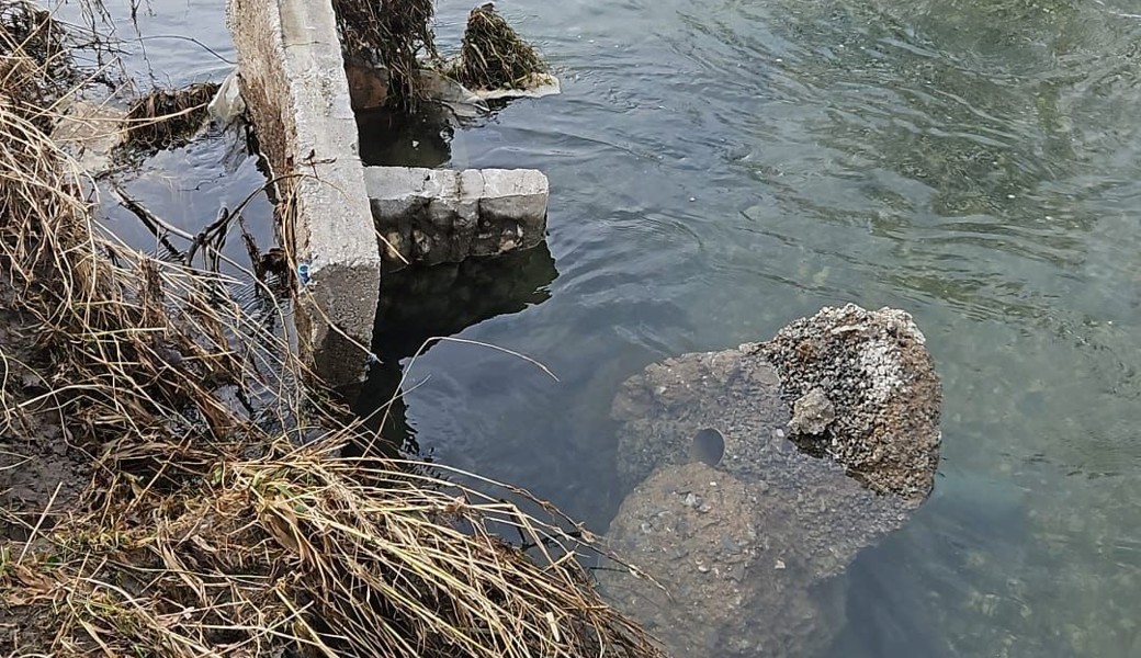 Die fraglichen Elemente.