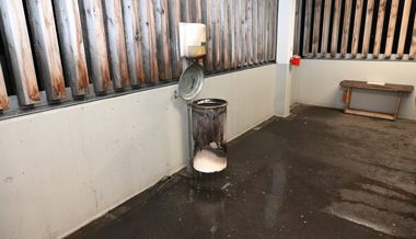 Unbekannte stecken Abfalleimer in Brand