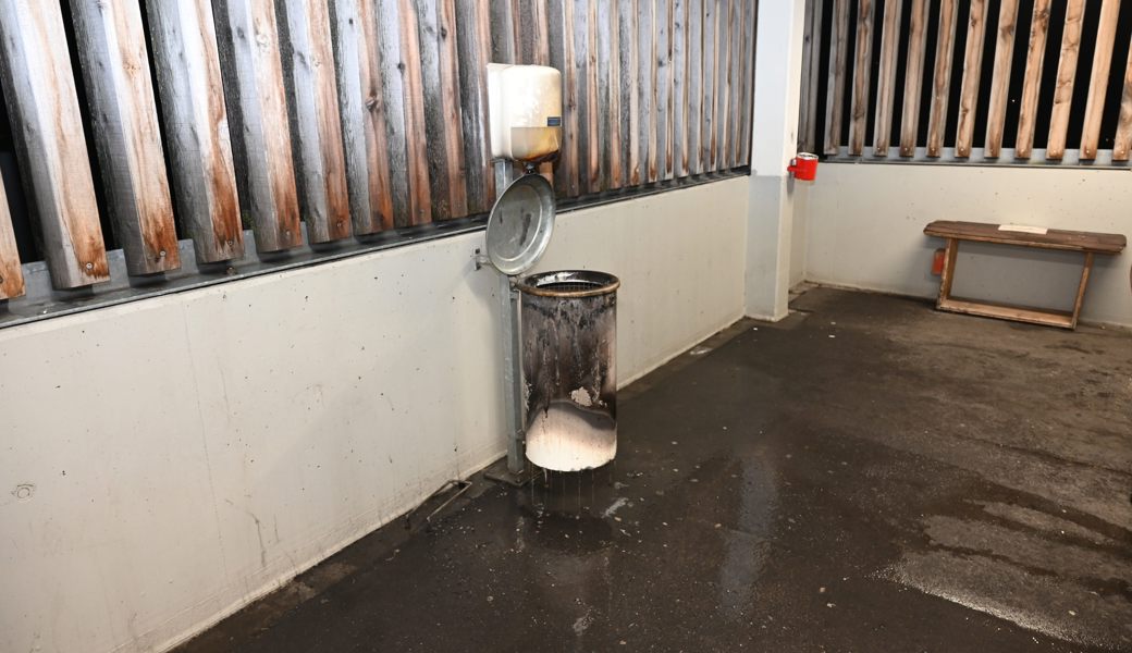 Die Feuerwehr konnte das Feuer rasch löschen. 