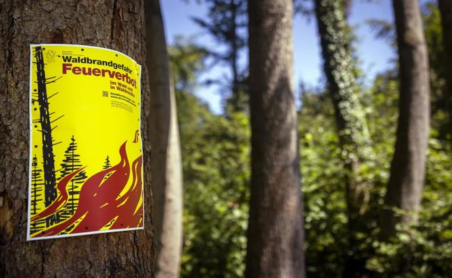 Wegen anhaltender Trockenheit: Feuerverbot in allen Werdenberger Gemeinden bis auf Widerruf