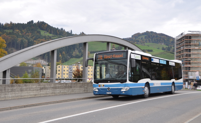 «Du Tubel»: Fahrgast bedroht Busfahrer mit Holzpfahl