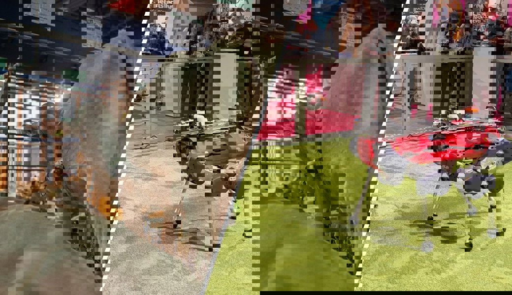 Zwischen Kühen und Roboterhund – Tradition trifft auf Innovation: Darf die Olma beides?