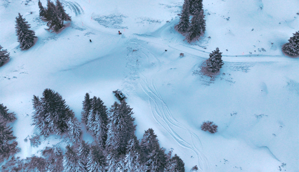 Rund 40 Meter unterhalb des Weges kam das Raupenfahrzeug wieder zum Stillstand. 