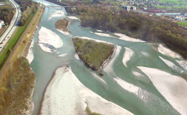 Mini-Aufweitung des Rheins: Umweltorganisationen genügen Massnahmen nicht