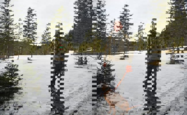 Naturgenuss auf Kosten der Wildtiere: Wintersportler missachten Wildruhezonen