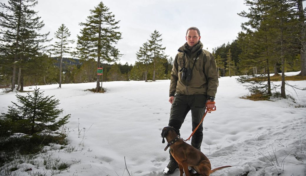 Naturgenuss auf Kosten der Wildtiere: Wintersportler missachten Wildruhezonen