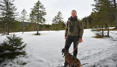 Naturgenuss auf Kosten der Wildtiere: Wintersportler missachten Wildruhezonen