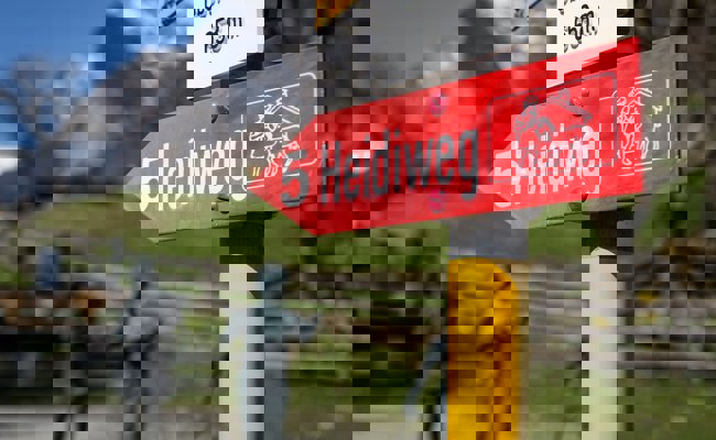 Rollstuhlunfall auf dem unteren Heidiweg: Pizolbahnen, Heidiland Tourismus und Gemeinde sollen Sorgfaltspflicht verletzt haben