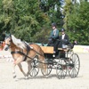 Grabser Gespannfahrerin gewinnt den Swiss-Equestrian-Jugendcup