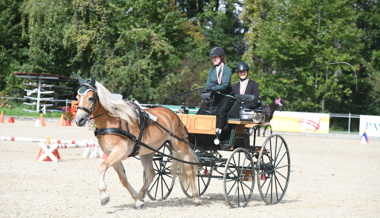 Grabser Gespannfahrerin gewinnt den Swiss-Equestrian-Jugendcup