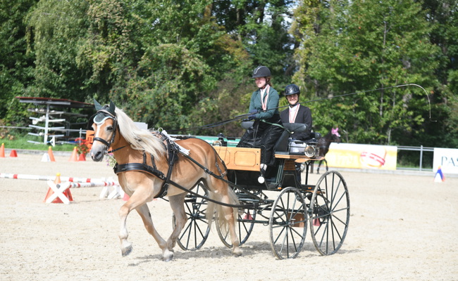 Grabser Gespannfahrerin gewinnt den Swiss-Equestrian-Jugendcup