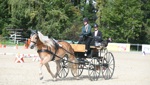 Grabser Gespannfahrerin gewinnt den Swiss-Equestrian-Jugendcup