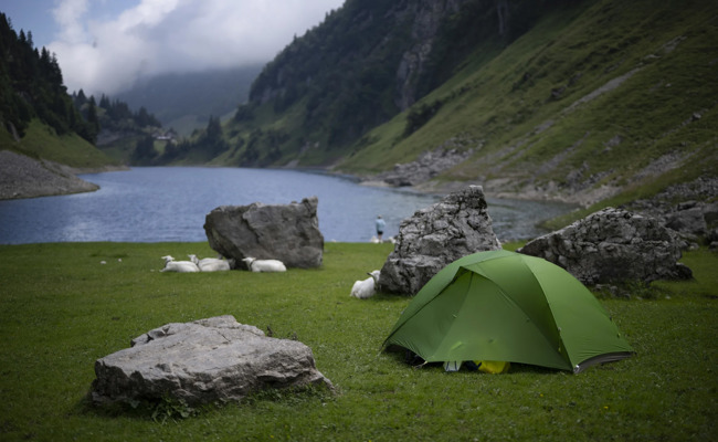 «Besser dort melden als am Stammtisch»: Tourismus-Meldesystem hat noch Luft nach oben
