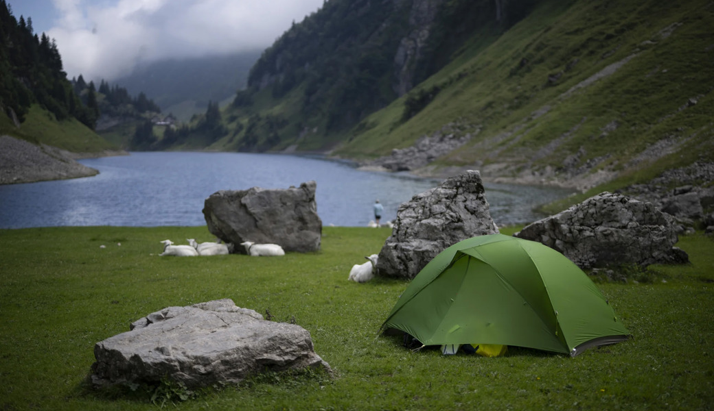 «Besser dort melden als am Stammtisch»: Tourismus-Meldesystem hat noch Luft nach oben