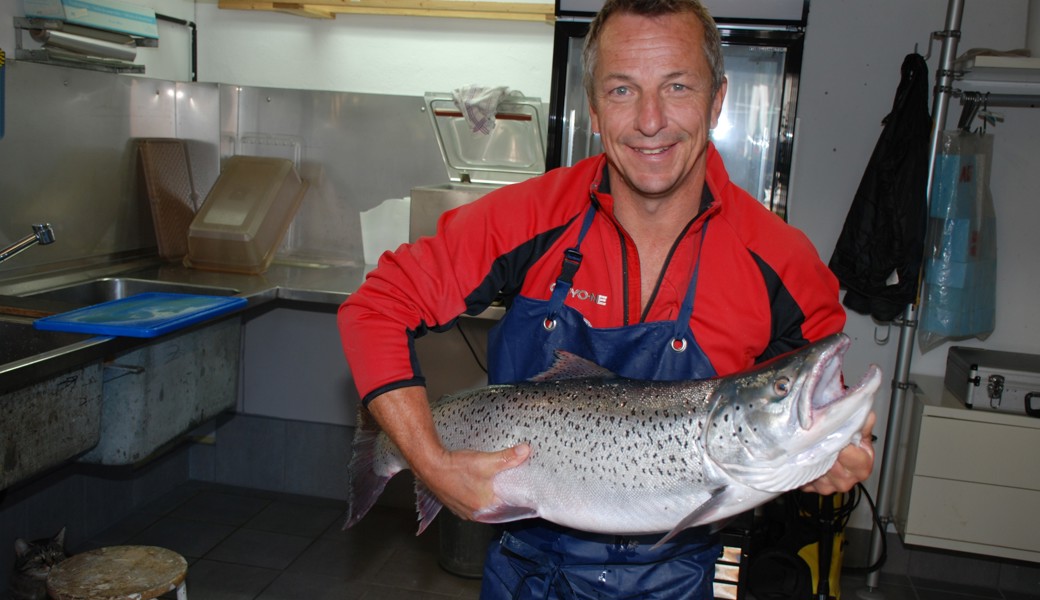 Walensee-Fischerei: Qualität top, Fänge flop