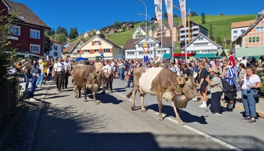 «Gspunne, die Lüt»: Touristenansturm stört Alpabfahrt – Sennen und Tiere müssen von Polizei eskortiert werden