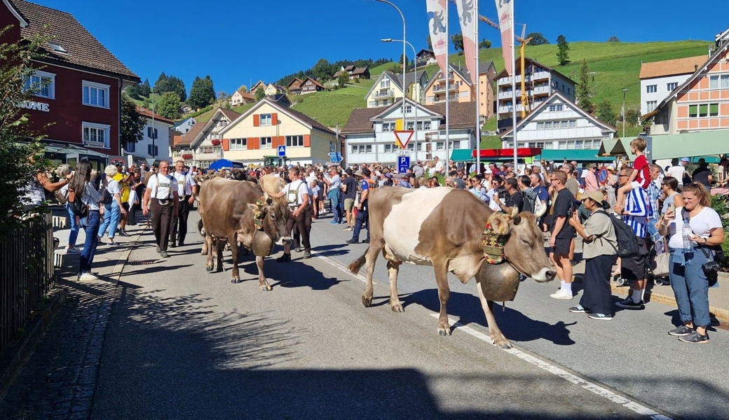 Die Schaulustigen standen den Sennen und ihren Tieren im Weg. Die Senntümer mussten von Polizei und Feuerwehr eskortiert werden.